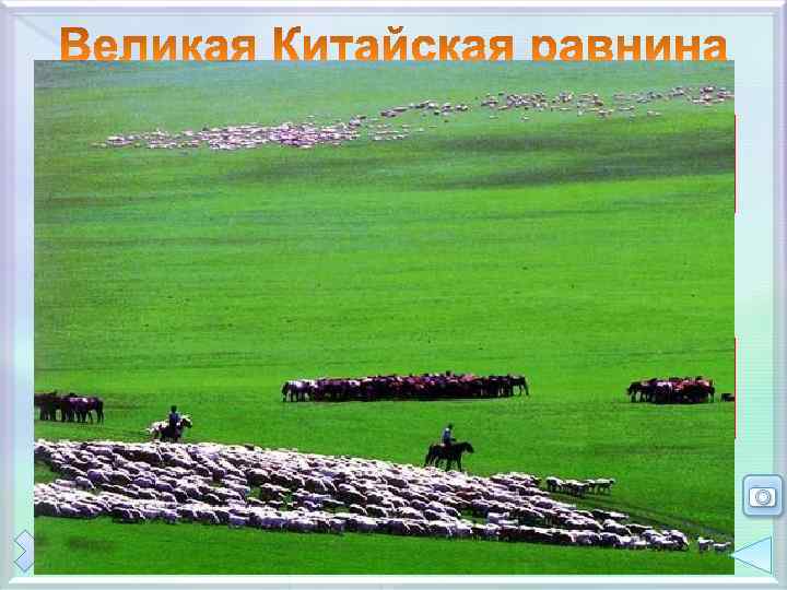 Ша ньд у гор нские ы Географическое положение Желтое море S – 325 тыс.