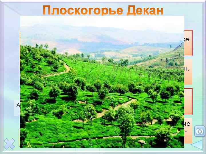 Географическое положение Индо. Гангск ая низме нность Аравийское море Бенгельский залив Преобладает ступенчатый рельеф