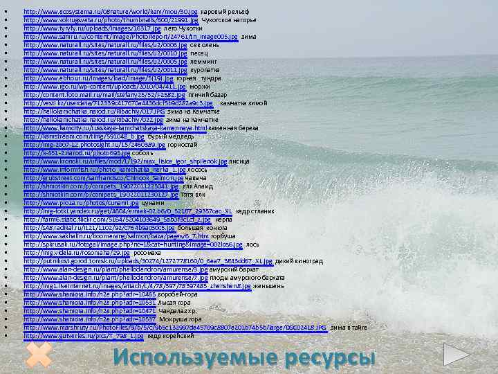  • • • • • • • • • • http: //www. ecosystema.