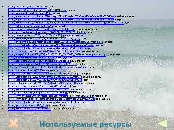  • • • • • • • • • http: //tema. in. ua/images/lopuh.