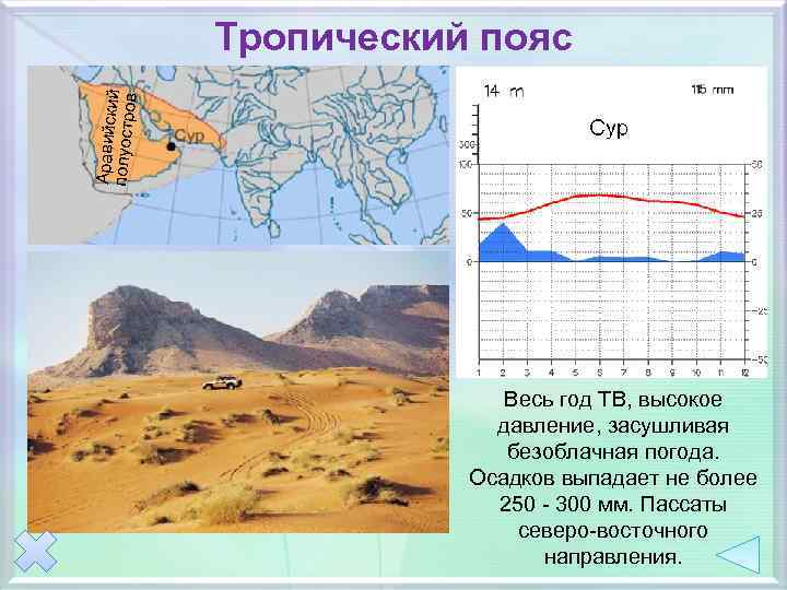 Аравийски полуостро й в Тропический пояс Весь год ТВ, высокое давление, засушливая безоблачная погода.