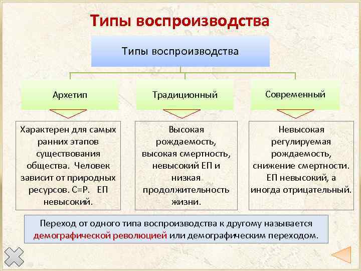 Типы воспроизводства Архетип Характерен для самых ранних этапов существования общества. Человек зависит от природных