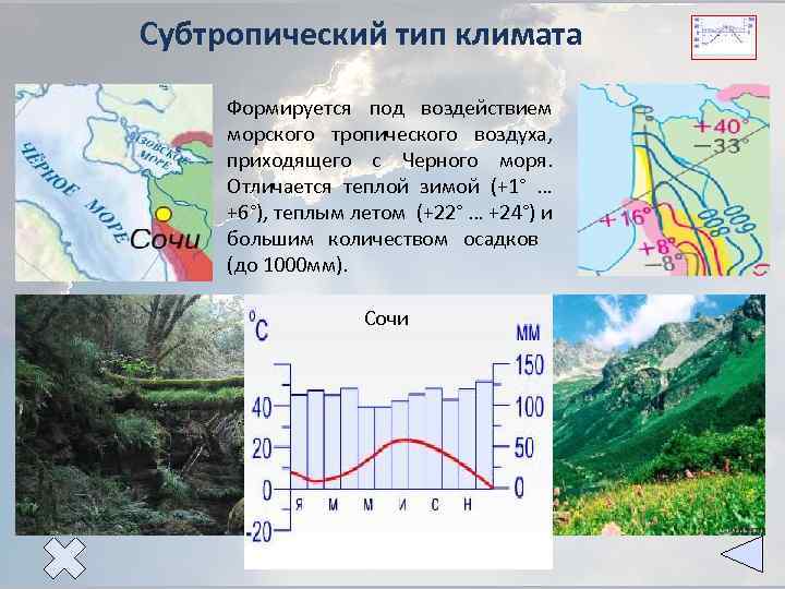 Субтропический тип климата Формируется под воздействием морского тропического воздуха, приходящего с Черного моря. Отличается