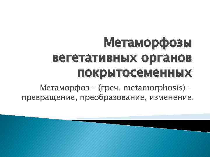 Метаморфозы вегетативных органов покрытосеменных Метаморфоз – (греч. metamorphosis) – превращение, преобразование, изменение. 