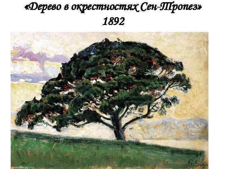  «Дерево в окрестностях Сен-Тропез» 1892 