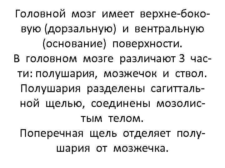 Головной мозг имеет верхне-боковую (дорзальную) и вентральную (основание) поверхности. В головном мозге различают 3