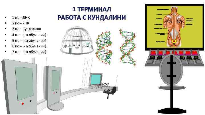  • • 1 кк – ДНК 2 кк – РНК 3 кк –