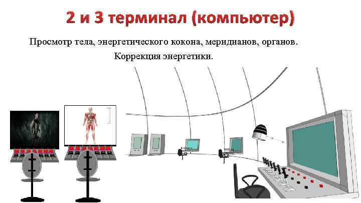 2 и 3 терминал (компьютер) Просмотр тела, энергетического кокона, меридианов, органов. Коррекция энергетики. 