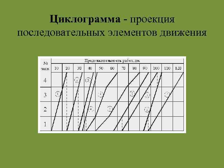 Циклограмма - проекция последовательных элементов движения 