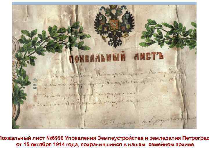 Похвальный лист № 6998 Управления Землеустройства и земледелия Петроград от 15 октября 1914 года,