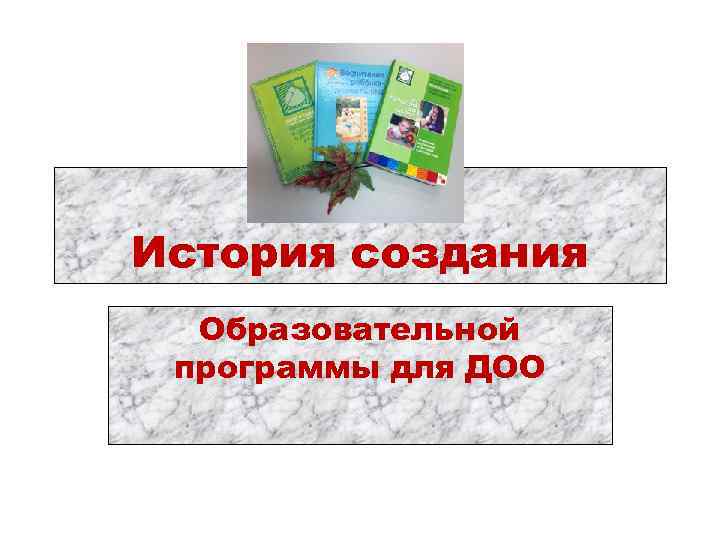 История создания Образовательной программы для ДОО 