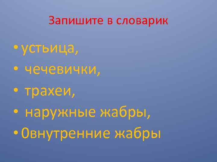 Запишите в словарик • устьица, • чечевички, • трахеи, • наружные жабры, • 0