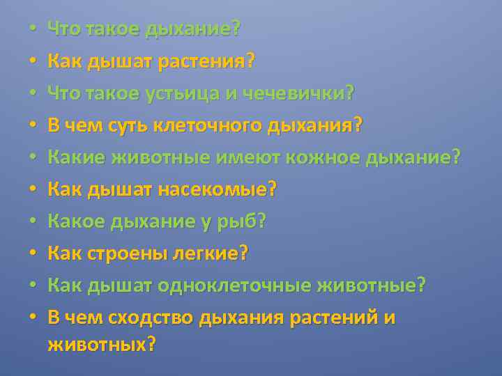  • • • Что такое дыхание? Как дышат растения? Что такое устьица и