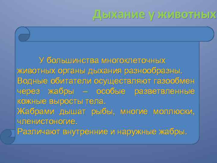 Дыхание у животных У большинства многоклеточных животных органы дыхания разнообразны. Водные обитатели осуществляют газообмен