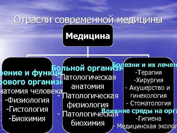 Отрасли современной медицины Медицина Болезни и их лечен Больной организм -Терапия оение и функции