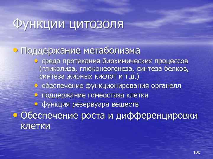 Функции цитозоля • Поддержание метаболизма • среда протекания биохимических процессов (гликолиза, глюконеогенеза, синтеза белков,