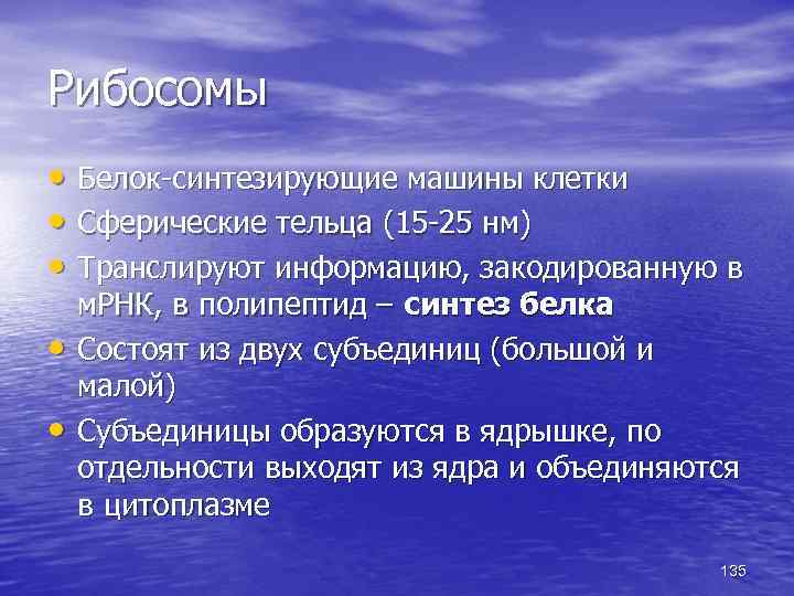 Рибосомы • Белок-синтезирующие машины клетки • Сферические тельца (15 -25 нм) • Транслируют информацию,