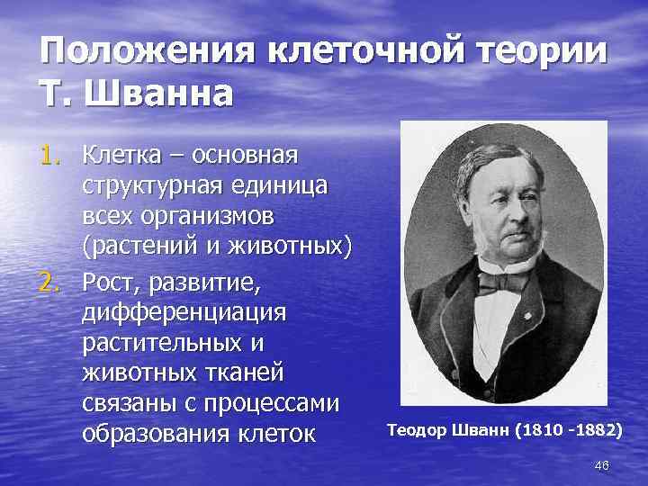 Положения клеточной теории Т. Шванна 1. Клетка – основная структурная единица всех организмов (растений