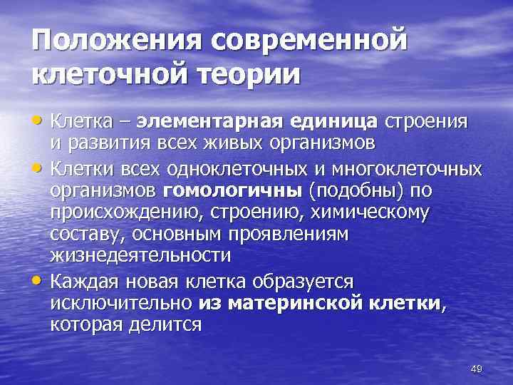 Положения современной клеточной теории • Клетка – элементарная единица строения • • и развития