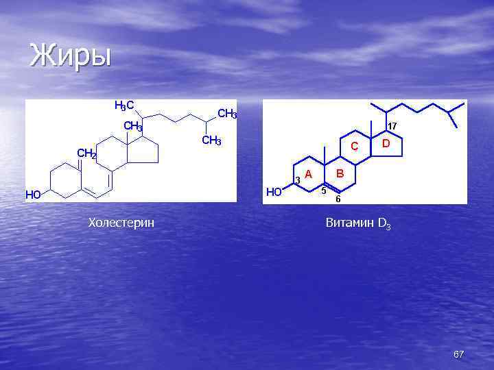 Жиры Холестерин Витамин D 3 67 