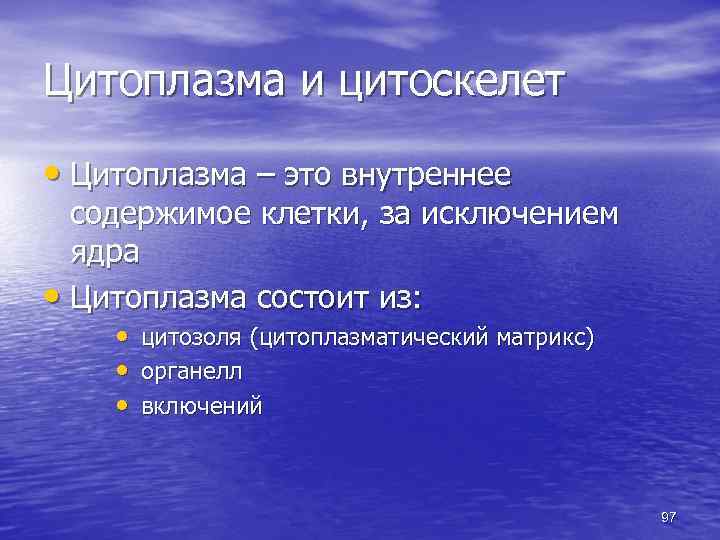 Цитоплазма и цитоскелет • Цитоплазма – это внутреннее содержимое клетки, за исключением ядра •