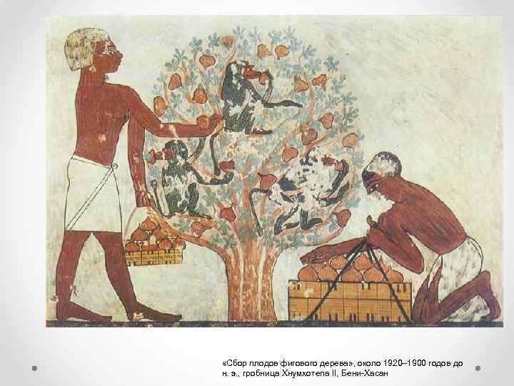  «Сбор плодов фигового дерева» , около 1920– 1900 годов до н. э. ,