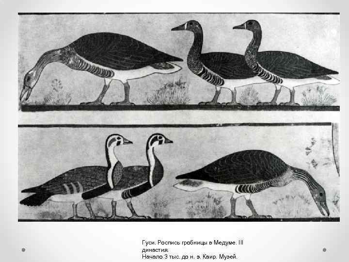 Гуси. Роспись гробницы в Медуме. III династия. Начало 3 тыс. до н. э. Каир.