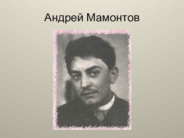 Андрей Мамонтов 