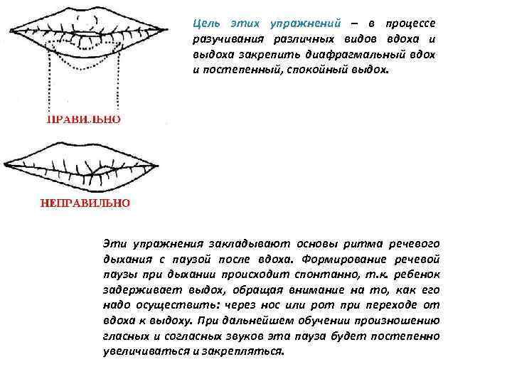 Цель этих упражнений – в процессе разучивания различных видов вдоха и выдоха закрепить диафрагмальный