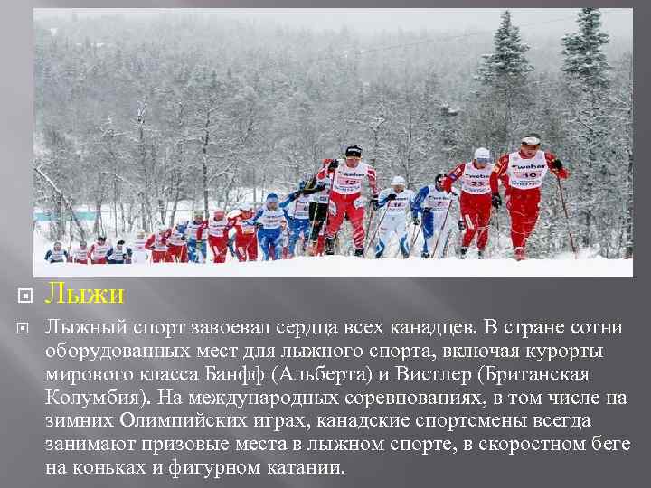 Лыжи Лыжный спорт завоевал сердца всех канадцев. В стране сотни оборудованных мест для