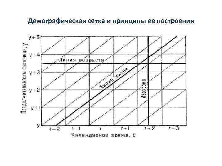 Демографическая 1. Демографическая сетка. Сетка Лексиса демография. Демографическая сетка пресса. Демографическая сетка как построить.