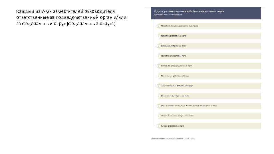 Каждый из 7 -ми заместителей руководителя ответственные за подведомственный орган и/или за федеральный округ