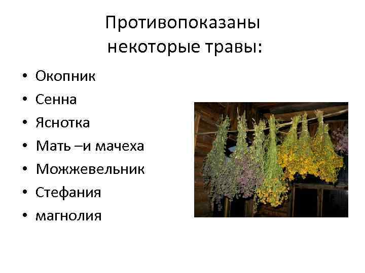 Противопоказаны некоторые травы: • • Окопник Сенна Яснотка Мать –и мачеха Можжевельник Стефания магнолия