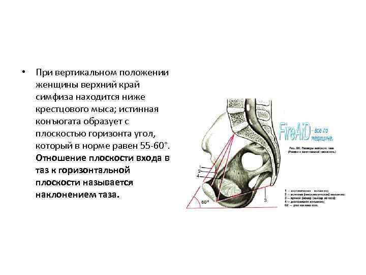 Определение истинной конъюгаты