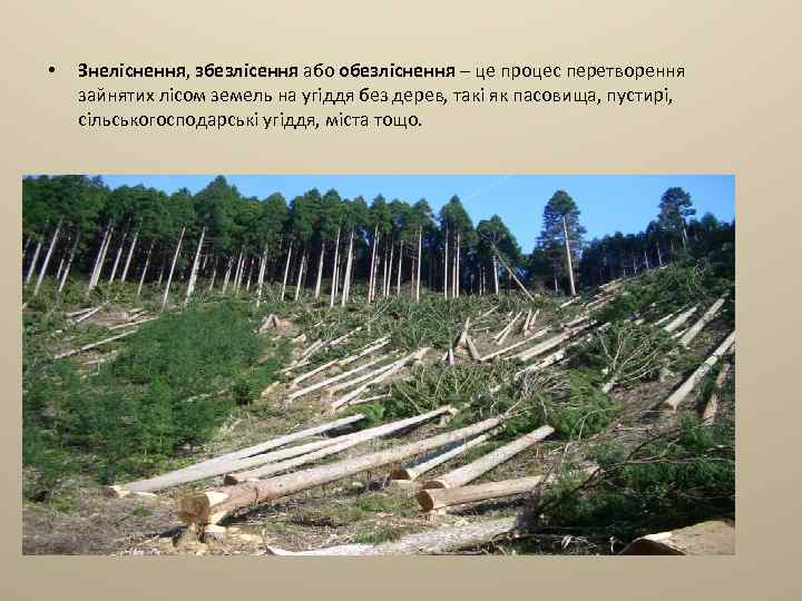  • Знеліснення, збезлісення або обезліснення – це процес перетворення зайнятих лісом земель на