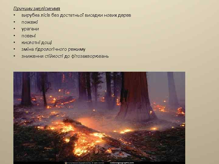 Причини знеліснення • вирубка лісів без достатньої висадки нових дерев • пожежі • урагани