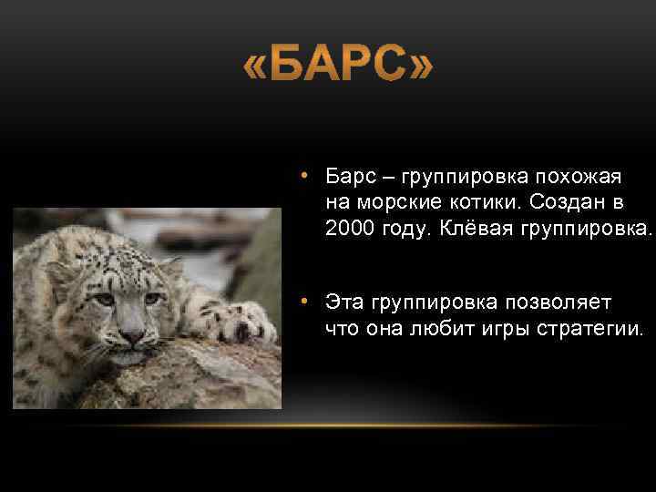  • Барс – группировка похожая на морские котики. Создан в 2000 году. Клёвая