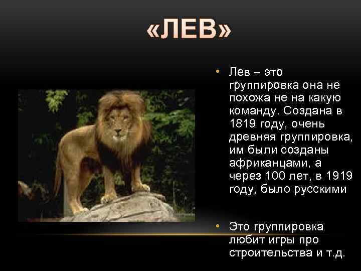  «ЛЕВ» • Лев – это группировка она не похожа не на какую команду.