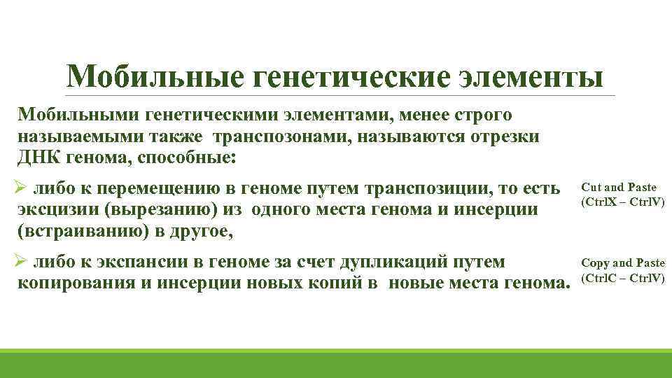 Мобильные генетические элементы Мобильными генетическими элементами, менее строго называемыми также транспозонами, называются отрезки ДНК