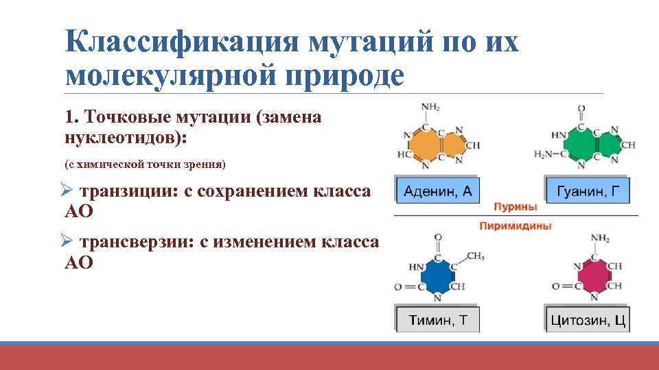 Классификация мутаций схема