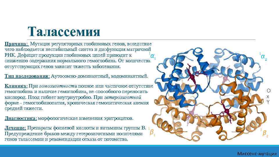 Талассемия Причина: Мутация регуляторных глобиновых генов, вследствие чего наблюдается нестабильный синтез и дисфункция матричной