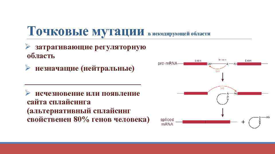 Классификация мутаций схема