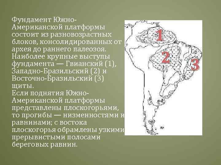 Фундамент Южно. Американской платформы состоит из разновозрастных блоков, консолидированных от архея до раннего палеозоя.