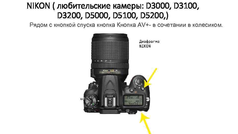 NIKON ( любительские камеры: D 3000, D 3100, D 3200, D 5000, D 5100,