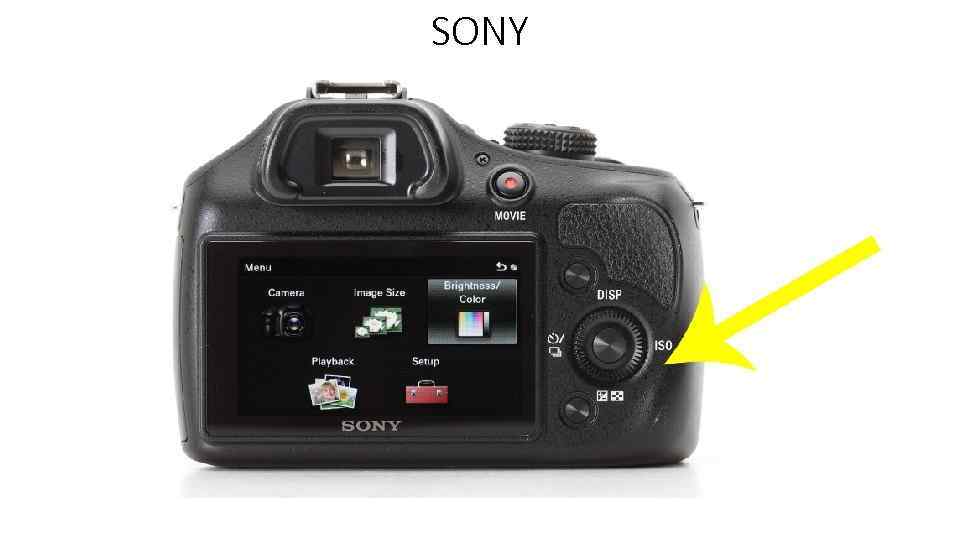 SONY 