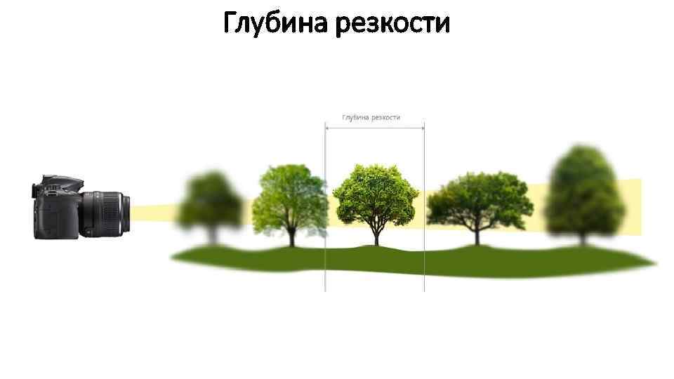 Глубина резкости 