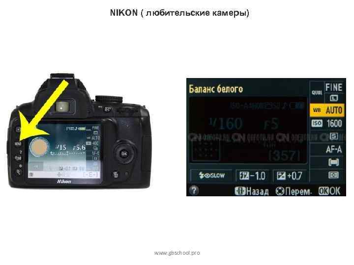 NIKON ( любительские камеры) www. gbschool. pro 