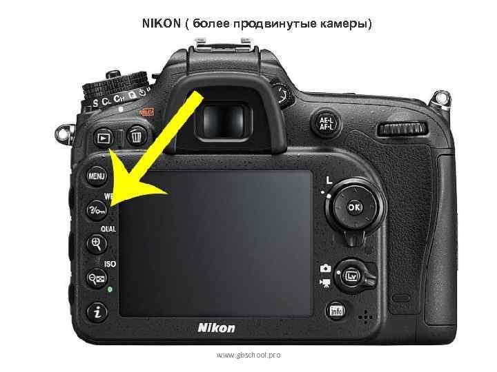 NIKON ( более продвинутые камеры) www. gbschool. pro 