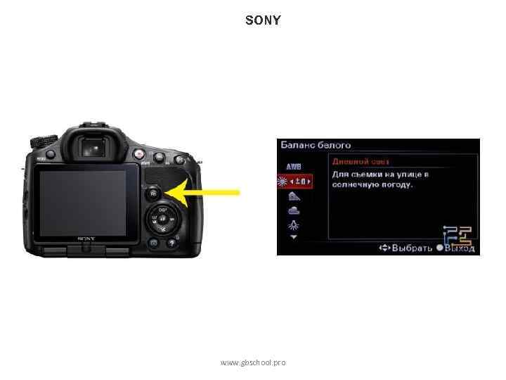 SONY www. gbschool. pro 