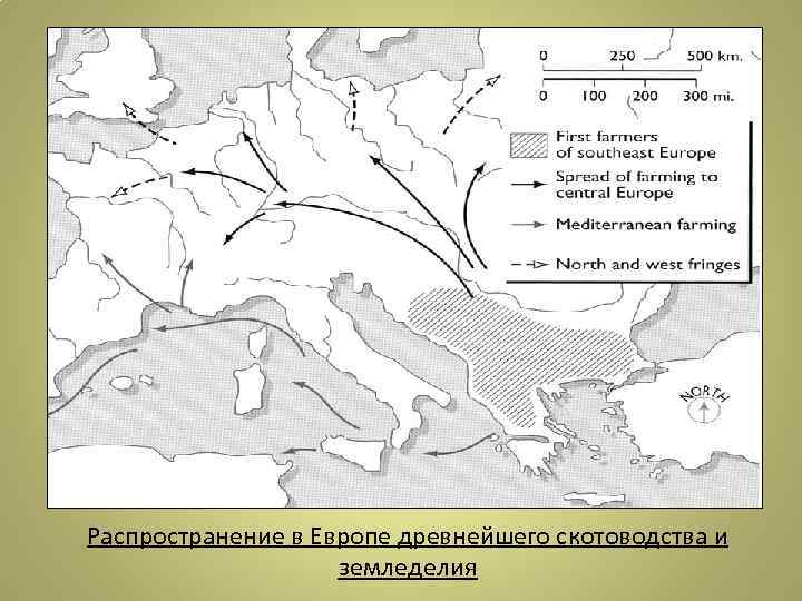 Распространение в Европе древнейшего скотоводства и земледелия 